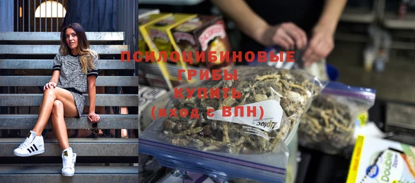 дмт Нея