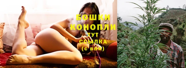 бошки Надым