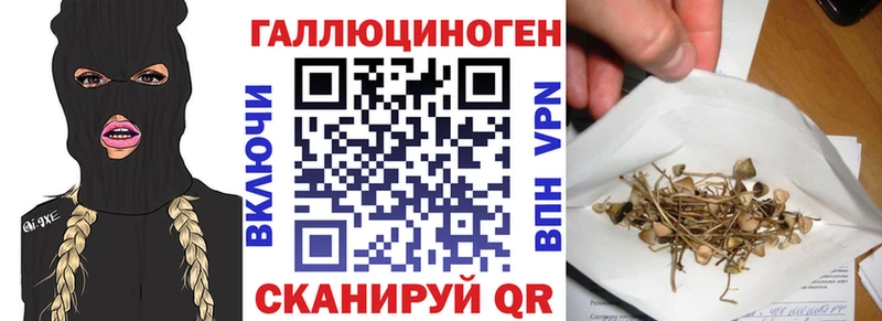 MEGA ссылки  Кандалакша  Галлюциногенные грибы прущие грибы 