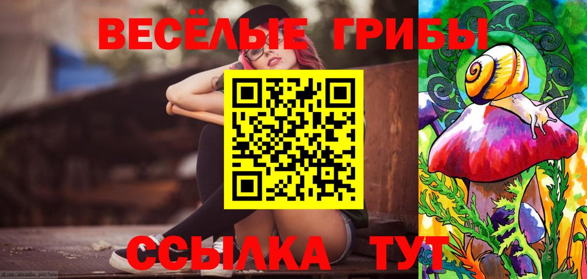 Псилоцибиновые грибы Cubensis Кандалакша